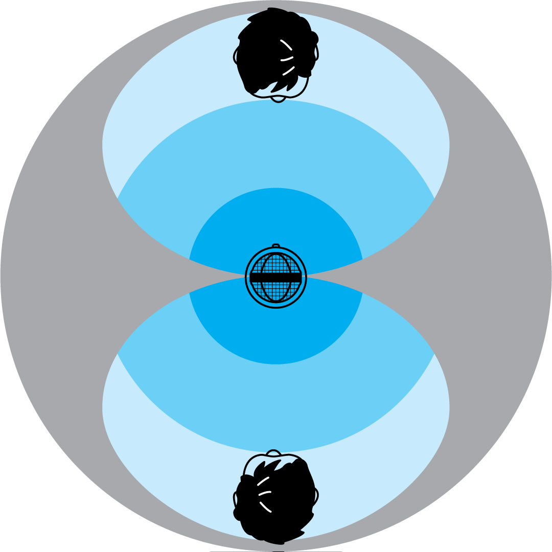 Bidirectional-Polar-Pattern